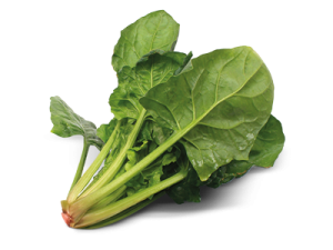 Spinach PNG-79128